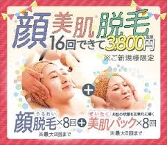 顔美肌脱毛16回コース 脱毛 顔 美肌