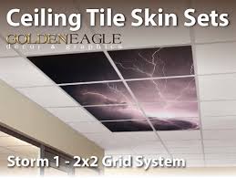Ceiling Tile Skin Lightning Storm Sky Kit 2x2 Grid Glue Up Decorative Panel Cover Wrap Sea Life St Ceiling Tile Decorative Panels Ceiling Grid System