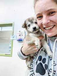 Dogs Dig New TCHS Play Yard