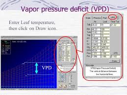 Tutorial For Psyc0226 Wei Fang Ph D Professor Ppt Video