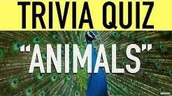 If you fall into that likely category, there are two questions you ought to be asking yourself to ensure you're making good choices. Apptato Trivia Word Games Youtube