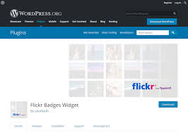 How flickr is different from other photo platforms. Top 10 Flickr Album Gallery Plugin Wordpress Site Flickr Gallery Plugin