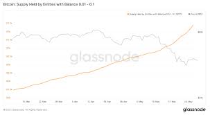 Tracking bitcoin's price is obviously easier than trying to figure out its value, which is but proponents say that doesn't matter: Cqokrs5swnwhim