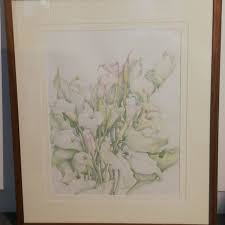 Image result for x Ruttyruspolia 'Phyllis van Heerden'