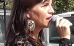 Accordéoniste à Le Mans (72000)