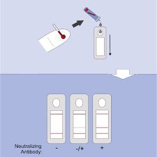 Image result for Neutralization Test