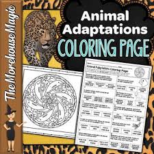 Animal Adaptations Coloring Page Quiz Animal Adaptations Adaptations Science Adaptations
