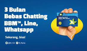 Selain mengecek nomor, menu dial ini juga bisa digunakan untuk mengecek informasi lainnya terkait kartu sim xl yang anda gunakan. Kartu Xl Tidak Bisa Nelpon Dan Sms Berbagi Info Kartu