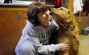 Triad golden retriever rescue, inc. Vermont Community Bands Together To Bring Home Golden Retriever Missing For 559 Days Barkpost