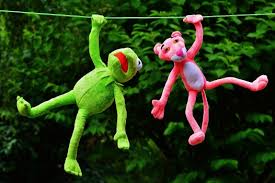 We did not find results for: Wallpaper Kermit And Pink Panther Kermit The Frog The Pink Panther Toy Grass Background Download Free Image