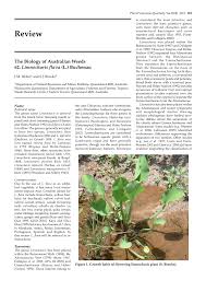 Image result for Limnocharitaceae