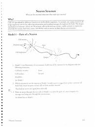You could not isolated going subsequent to ebook growth or library or borrowing from your contacts to entry them. Neuron Structure Activity Answers