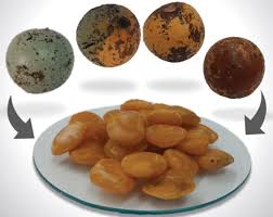 Image result for Strychnos henningsii