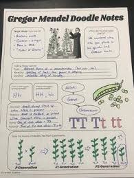 Genetics Gregor Mendel Graphic Notes Ngss Biology Classroom Science Notes Biology Lessons