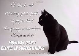 A Black Cat Crossing Your Path Signifies That Its Going Somewhere Simple As That Muslims Don T Believe In Superstitions Cats Black Cat Superstition
