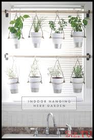 Whether you're looking to grow herbs, flowers, or even succulents, here are 10 great indoor garden ideas with herbs and other plants that you can make. 20 Window Herb Garden Ideas Magzhouse
