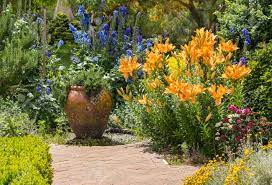 We did not find results for: Collection Of Garden Flowers In Bloom In English Garden Stock Photo Picture And Royalty Free Image Image 70728204