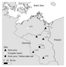 'my mother says i was a very good baby. Applied Sciences Free Full Text Water Budgets Of Managed Forests In Northeast Germany Under Climate Change Results From A Model Study On Forest Monitoring Sites Html