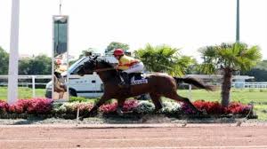 La depeche du midi 25 septembre 2020. 9 11 18 Toulouse Prix De La Depeche Du Midi Results And Reports