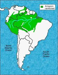 The largest rainforests are in the amazon in brazil (south america), demographic republic of congo (africa). Amazon River Longitude And Latitude Map