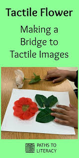 Tactile Flower Making A Bridge To Tactile Images Tactile Environmental Print Preschool Special Education