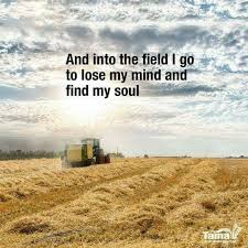 I Love Farming Wish I Was Young Enough To Have A Small Farm And Have All The Fun I Used To Farm Life Quotes Farm Quotes Farmer Quotes
