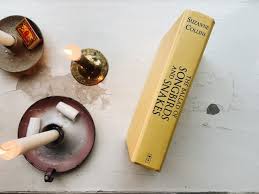 Sandra beijer körlof, född alexandra maria victoria körlof 10 augusti 1984 i s:t matteus församling i stockholm, är en svensk bloggare, författare och krönikör. Den Fjarde Boken Om Hungerspelen Sandra Beijer Niotillfem Bloglovin