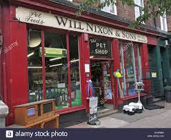 Pet Shop Boy High Resolution Stock Photography And Images Alamy
