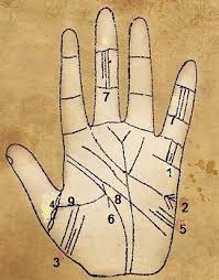 как по руке узнать сколько будет детей у женщины Kak Uznat Po Ruke Vo Skolko Vyjdesh Zamuzh Kak Uznat Kogda Vyjdesh Zamuzh Numerologiya Hiromantiya Gadaniya Narodnye Primety Chto Podskazhet Nam Numerologiya