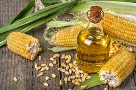 Monday Myth Feed Horses Corn Oil For Weight And Shine