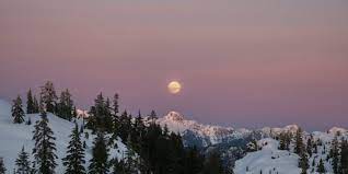 Cette première pleine lune de l'année 2021, aussi appelée « pleine lune du loup », se lèvera le jeudi 28 janvier dans le signe du lion. Astro Quels Sont Les Effets De La Pleine Lune De Janvier 2021