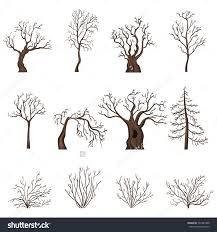 For easy tree drawing, you need a pencil, paper, eraser and sharpener, color and scale. Drawing Of A Tree Without Leaves
