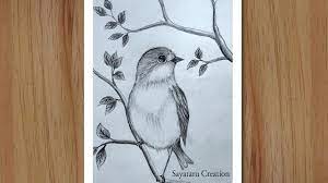 How To Draw A Bird Scenery With Pencil Step By Step, Pencil Drawing For  Beginners - Youtube
