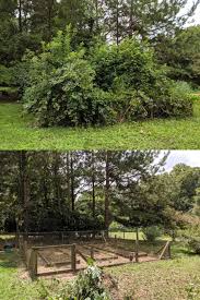 Don't leave the roots behind. My Dad And I Cleared Out An Overgrown Garden Today Here S The Before And After Oddlysatisfying