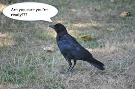 What was the first thing that god created? Corvid Trivia Quiz