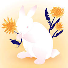 How to Draw a Rabbit