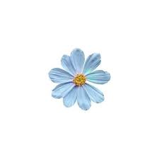 Summer S In The Air And Baby Heaven S In Your Eyes Flower Aesthetic Flower Art Blue Art