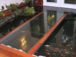 Glass Floor Over Koi Pond Floors Glass Floor Indoor Pond Koi Pond
