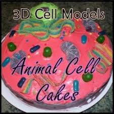 All organisms are made up of cells. 3d Models Are A Fun Michaux1 Overblog Com