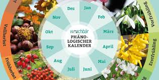 Der Phanologische Kalender Ein Praktischer Gartenkalender Gartenkalender Garten Gartentipps