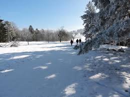Distance from albstadt to other cities. Auf Dem Premium Winterwanderweg Schneewalzer In Burgfelden Bild Von Albstadt Traufgange Albstadt Tripadvisor