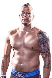 He also played for the national team from 1985 to 1988. Jorge Gonzalez Professional Fighters League