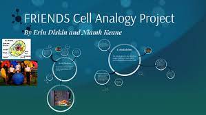Animal cell analogy of a mall. Cell Analogy By Niamh Keane