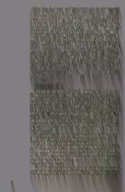 Image result for Psophocarpus lancifolius