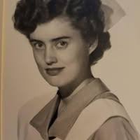 Angeles Clinic for Animals