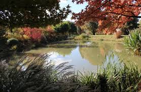 Dans le jardin de bois marquis, la maison inspirée des constructions solognotes a été bâtie bien dj98_bois_marquis_christian_ht.jpg. Etang Picture Of Le Jardin Du Bois Marquis Vernioz Tripadvisor