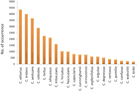 Image result for Corchorus kirkii