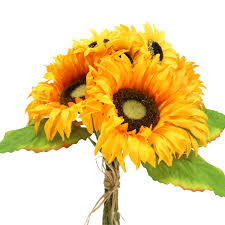 Quando si cerca gentilezza, si vuole dare un tocco grazioso ad un gesto, ecco che ricorriamo ai fiori. Mazzo Decorativo Mazzo Di Girasoli Giallo 30 Cm 67186 Acquista A Buon Mercato Online