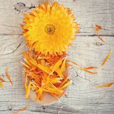 Why Choose Calendula Calendula Skincare Natural Eczema Bodyceuitcals Calendula Calendula Cream Calendula Oil