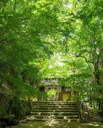 新緑にそまる癒しの世界 triproud 田舎 風景 夏 風景 美しい風景